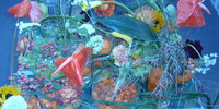 28.4.12 -  Flora 2012