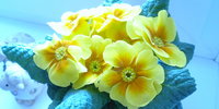 24.32012 .- jar!! :-)