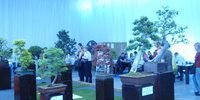 28.4.12 -  Flora 2012