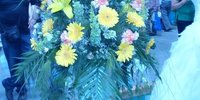 28.4.12 -  Flora 2012