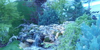 28.4.12 -  Flora 2012