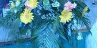 28.4.12 -  Flora 2012